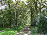 Vrijdijk